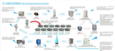 详解工厂化循环水养殖系统与计算机系统服务的融合
